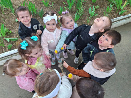 "Всемирный день одуванчиков " "Всемирный день одуванчиков ".